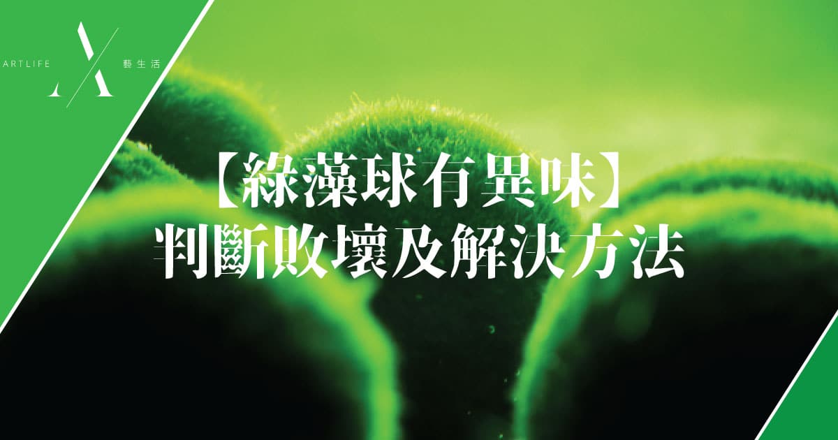 marimo發臭怎麼辦