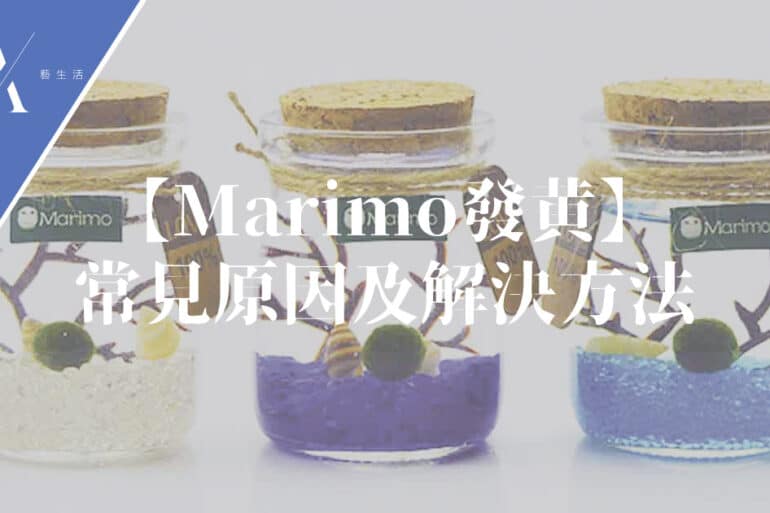 marimo發黃