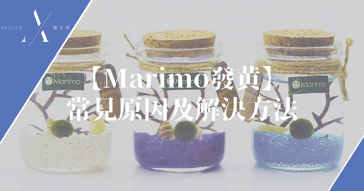 marimo發黃